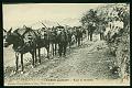 Cartes postales anciennes 12885